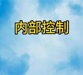 内部控制