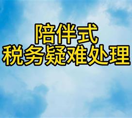 陪伴式税务疑难处理