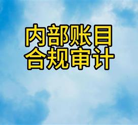 内部帐目合规审计