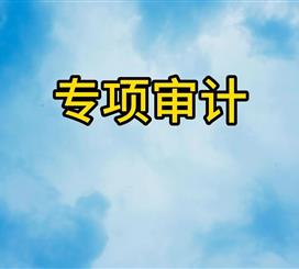 专项审计