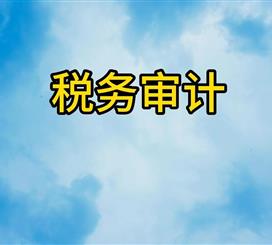 税务审计