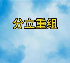 分立重组