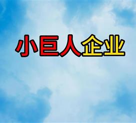 小巨人企业