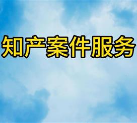 知产案件服务